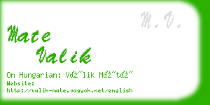 mate valik business card